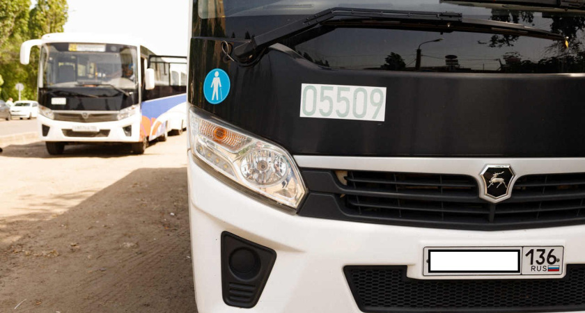 В Воронеже может появиться федеральный перевозчик