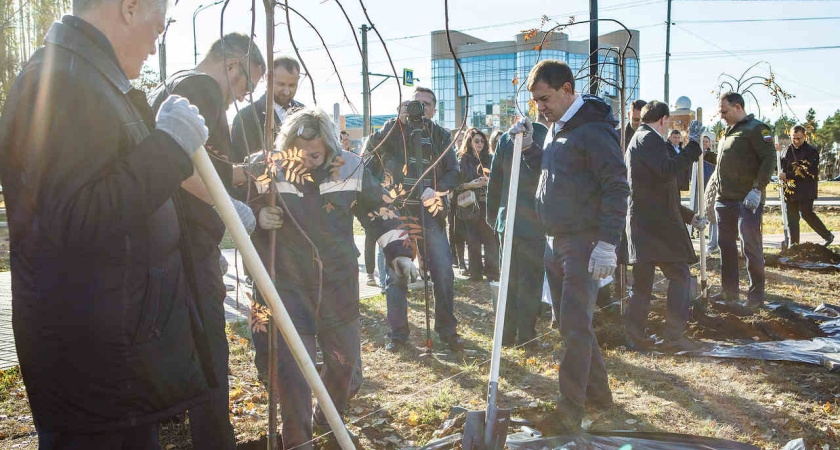 Председатель облдумы Владимир Нетесов подчеркнул заинтересованность воронежцев в экологических проектах