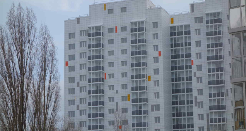 Воронежской семье необходимо 74,3 тыс. рублей для оплаты аренды квартиры и повседневных расходов