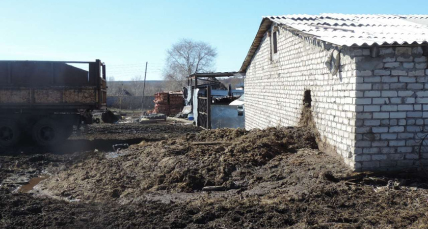 Отходы крупного рогатого скота обошлись лискинцам в 27,2 млн рублей