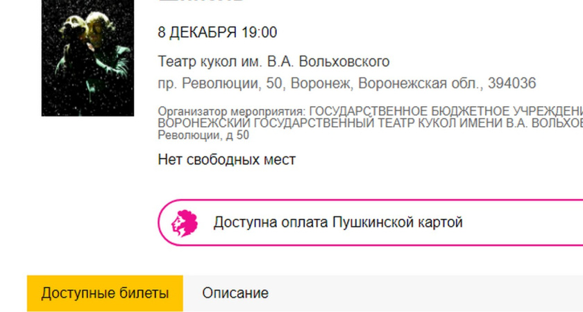 В Воронеже сложнее попасть на детскую постановку, чем в Москве в Большой театр