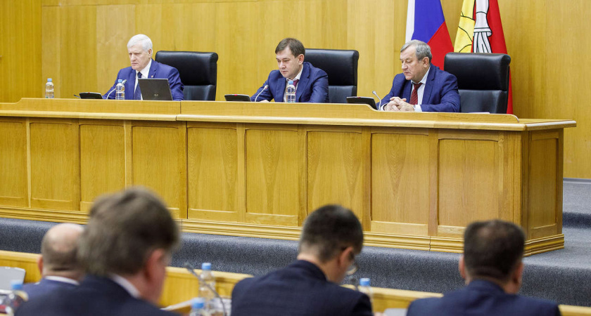 Воронежская областная Дума приняла закон для поддержки предпринимательского сектора 