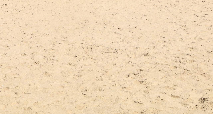 Песчаный карьер в Рамонском районе попытаются продать за 102,5 млн рублей