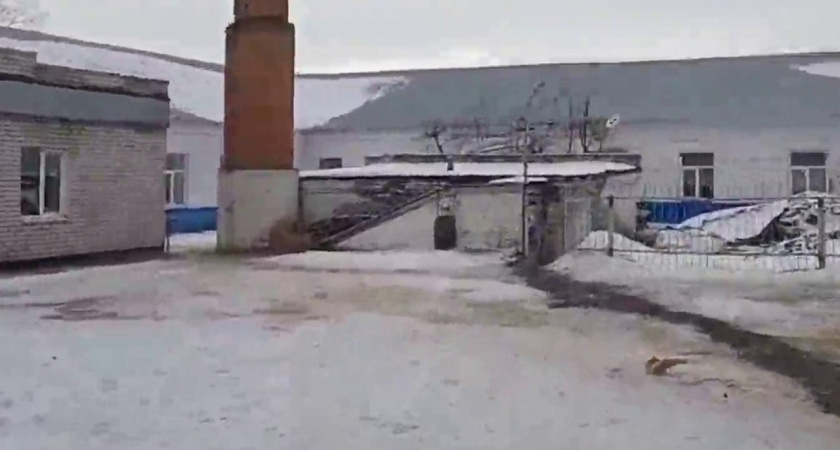 Следователи СК проверят воронежскую школу на предмет нарушений прав учащихся