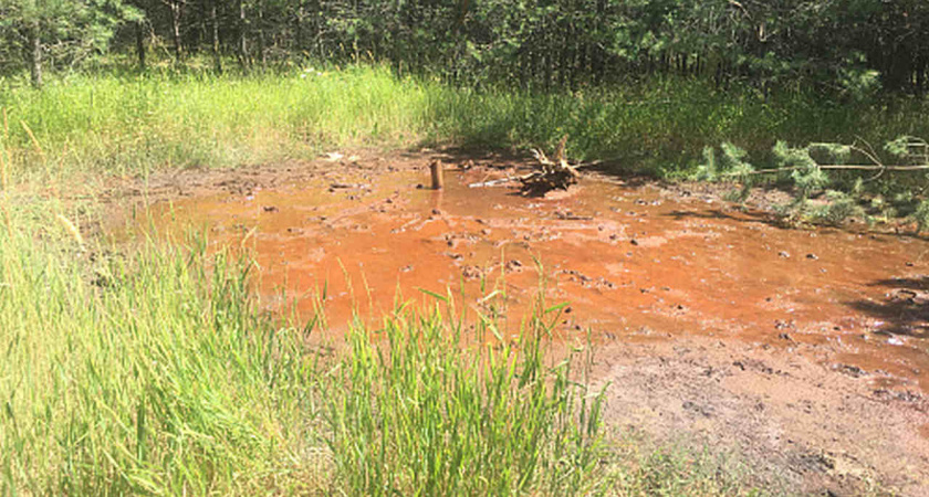 Администрация Новохоперска должна выплатить 3,9 млн рублей за нанесенный вред окружающей среде