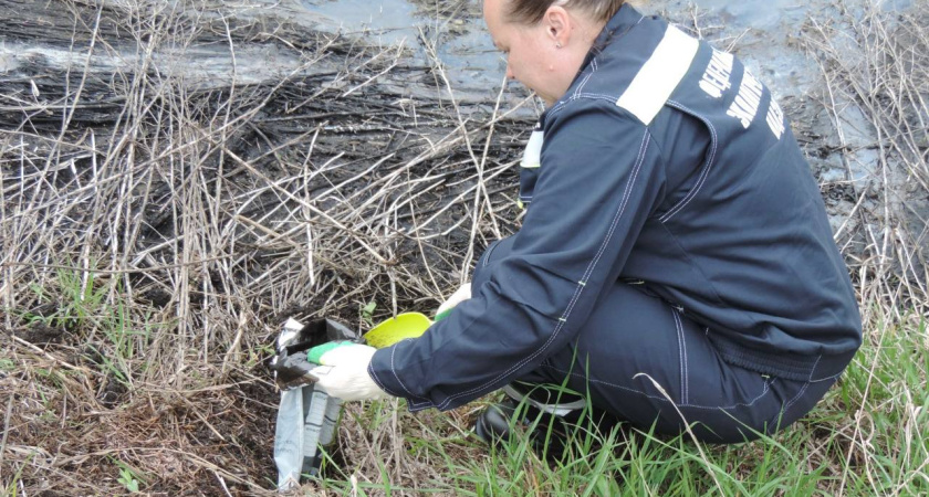 Росприроднадзор требует более 4,3 млн рублей с белгородской компании за загрязнение почвы в Воронежской области