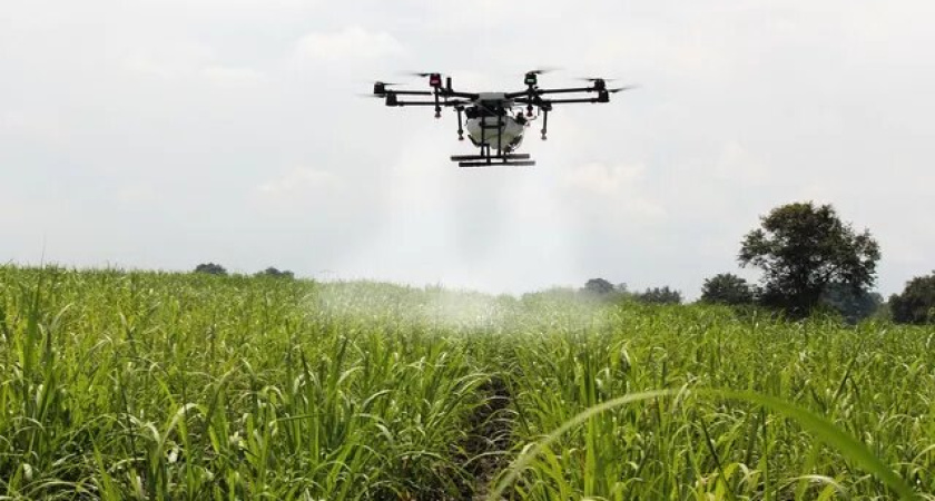 Сообщения о запрете использования аграрных БПЛА в Воронежской области оказались преждевременными