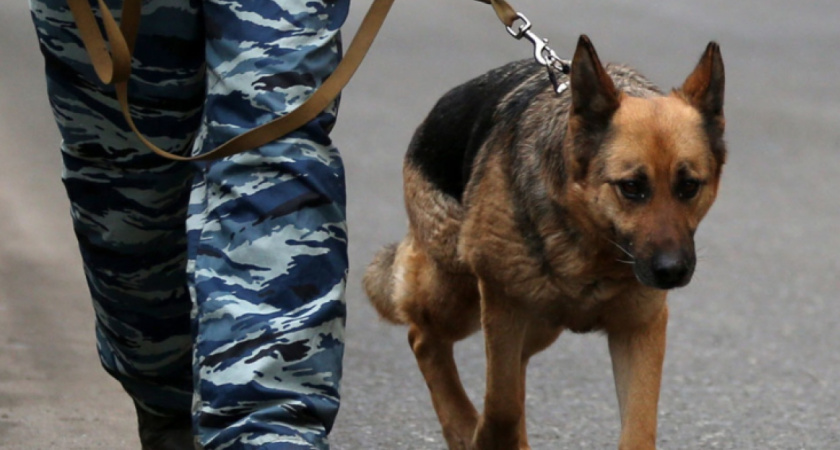 Пена для бритья напугала членов воронежского отделения ЛДПР