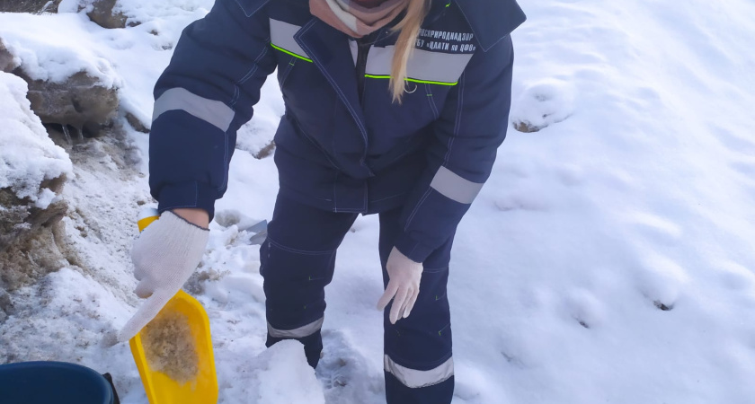 «Снежная свалка» может нанести вред водохранилищу в Воронеже