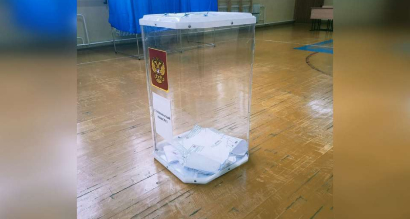 Испортившие зеленкой бюллетени женщины из Воронежской области могли стать жертвами мошенников