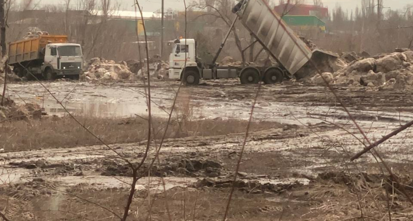 Мэрия Воронежа, убирая одну незаконную свалку снега, создала другую