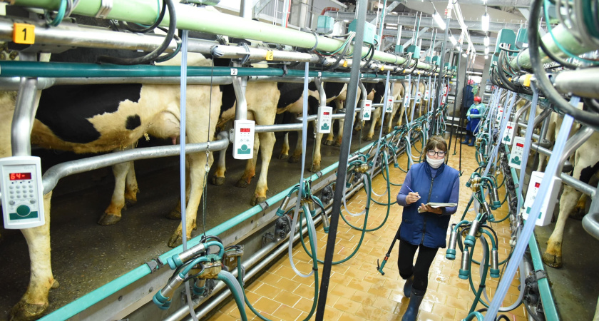 «АГРОЭКО» построит новое предприятие в Воронежской области