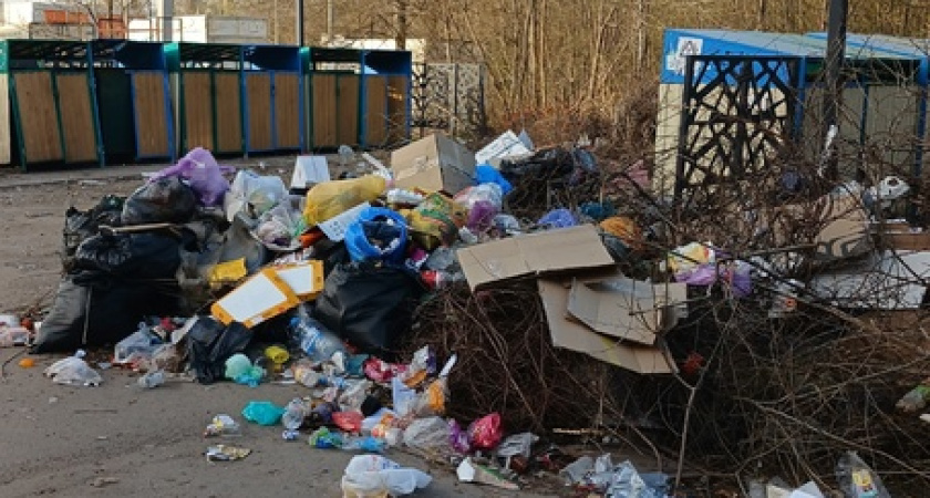 Жители Семилук массово жалуются на мусорные свалки у себя во дворах