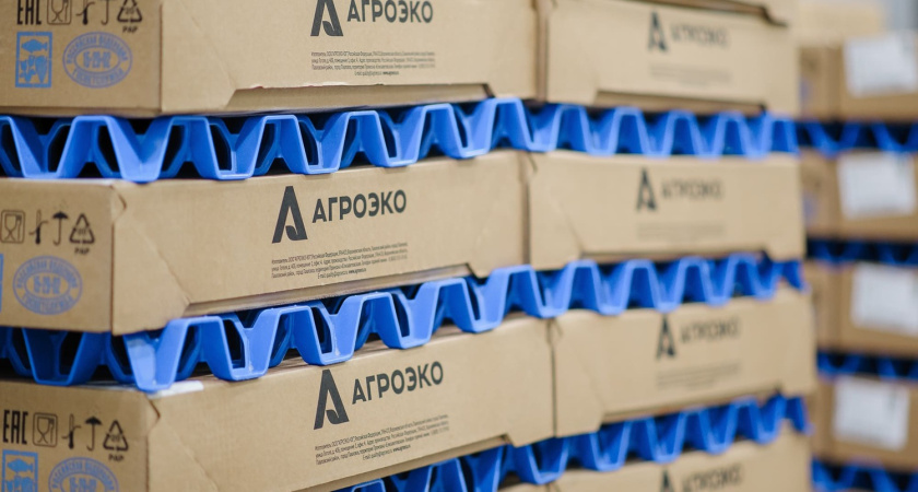 Воронежская «АГРОЭКО» нарастила экспорт на 413%