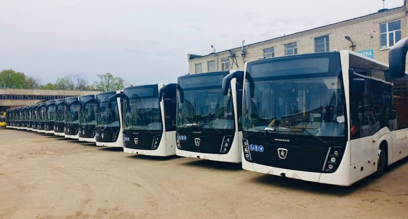 Мэрия Воронежа изучит отношение горожан к работе общественного транспорта