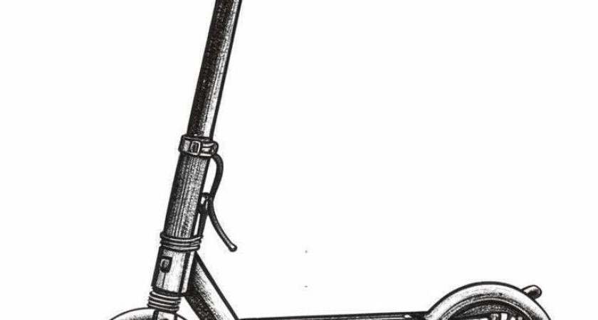 Больше половины воронежцев негативно относятся к электросамокатам