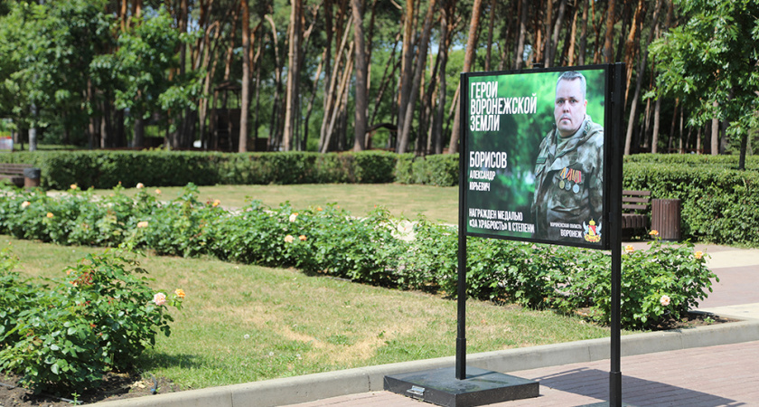 В Воронежском «Динамо» и «Алых парусах» установили баннеры с героями СВО