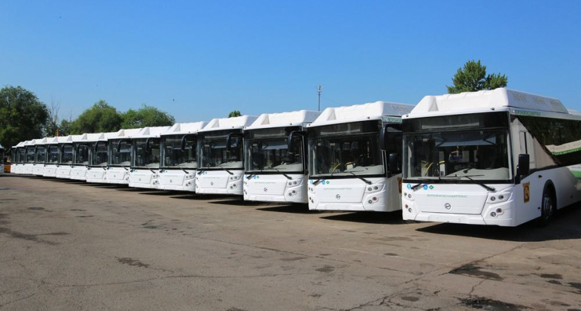 На сэкономленные деньги воронежские власти купили несколько автобусов с кондиционером