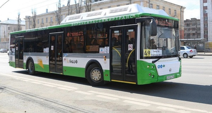 Почему введение выделенных полос забуксовало на год, объяснили в мэрии Воронежа