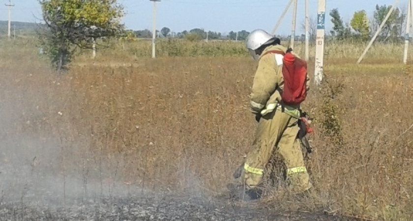 На поле в Воронежской области сгорели 24 гектара пшеницы
