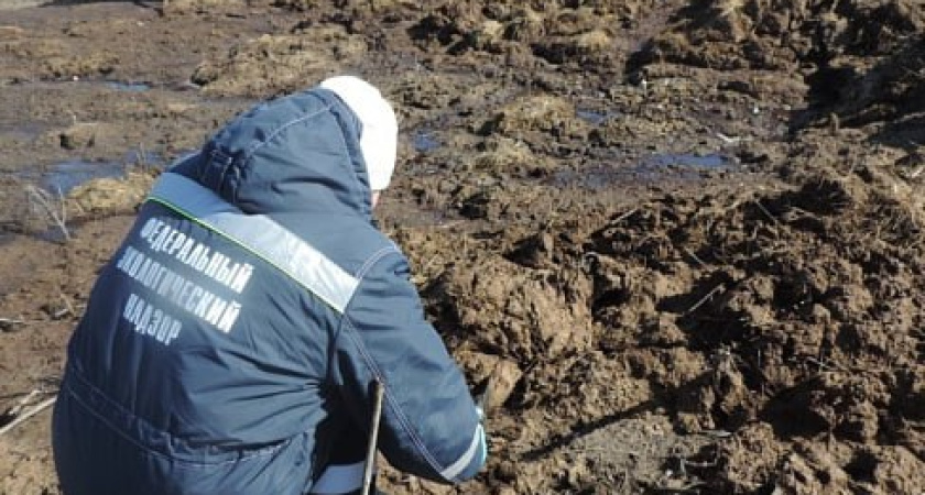 За большую кучу навоза воронежца оштрафовали на 10,5 млн рублей