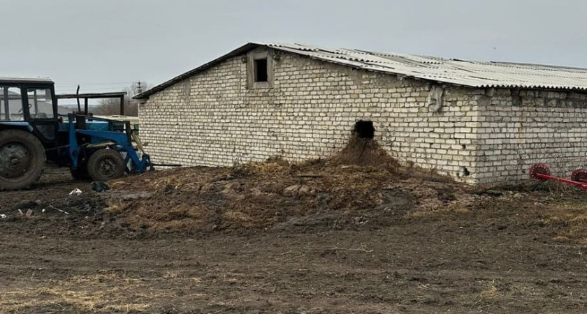 Воронежского фермера осудили на 10,5 млн рублей за «реки крови» в селе Масловка