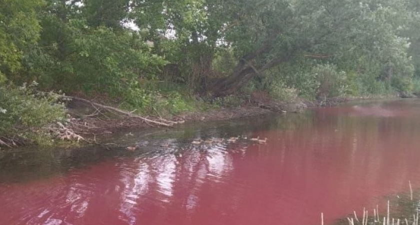 Река в районе Воронежской области окрасилась в красно-бурый