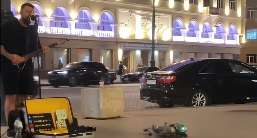 Робо-собака сплясала под песню «Нирваны» в центре Воронежа