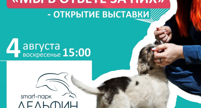 4 августа состоится зоо-фестиваль «Мы в ответе за них»