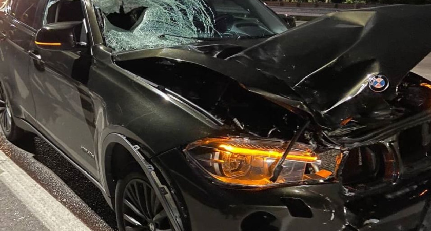 Мужчину на лыжеролерах насмерть сбил водитель BMW в Воронеже