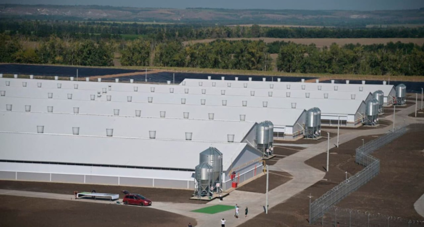 Церемонию открытия свиноводческого комплекса сняли на фото в Воронеже