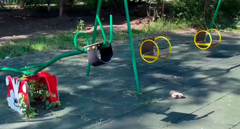 Дырявый спортинвентарь и штырь вместо карусели встретили общественников в воронежском райцентре