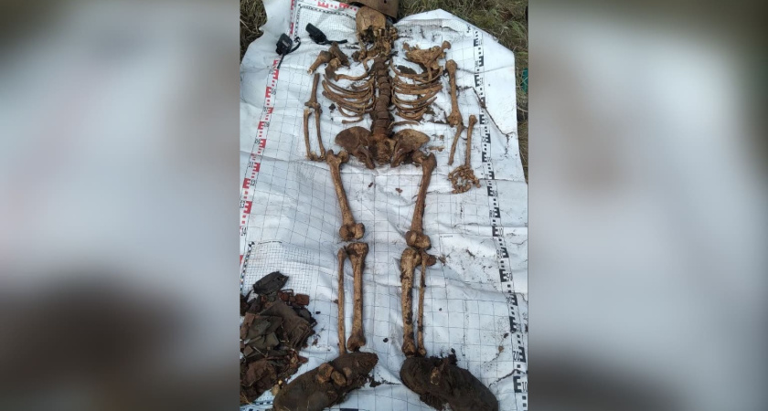 Останки бойца Красной армии нашли в Воронежской области