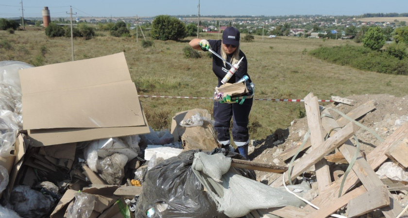 Незаконную свалку площадь более 800 квадратных метров нашли в Воронежской области
