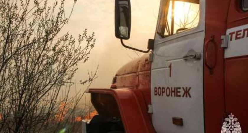 10 гектаров сухой травы горят в Воронежской области