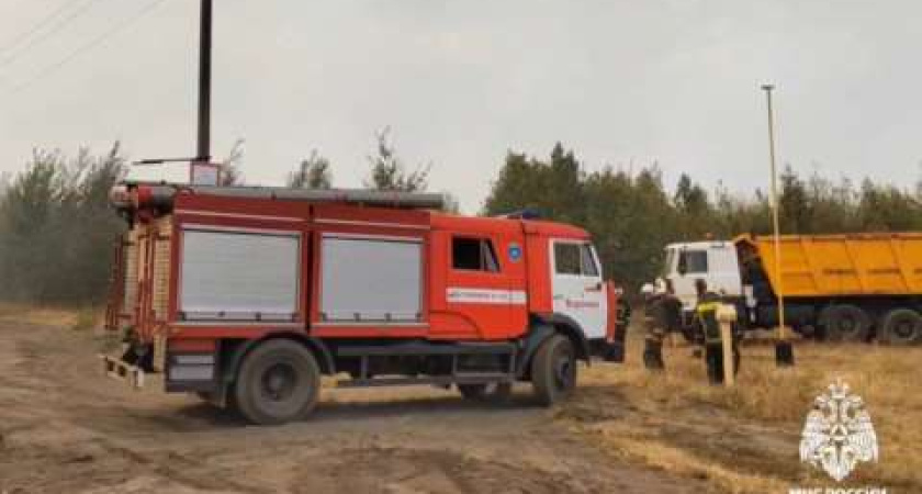 Пожарные потушили возгорание площадью 120 Га в Воронежской области