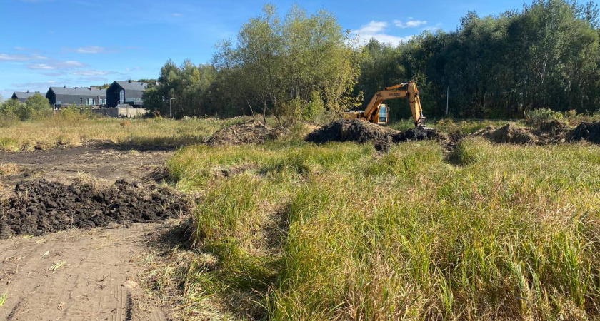 На незаконную плотину на реке Усманка в Воронежской области обратил внимание Росприроднадзор