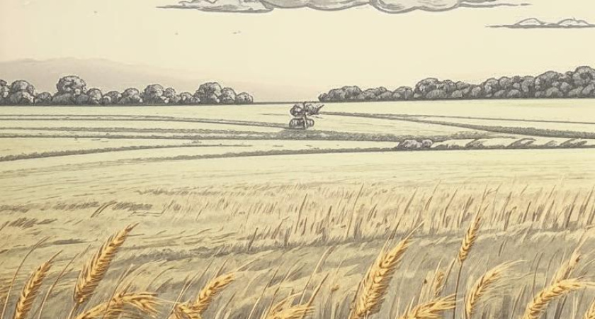 Воронежские аграрии нашли, чем гордиться на фоне «нерекордного» урожая