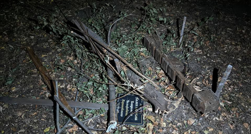 Неизвестные устроили акт вандализма на аллее Жириновского в Воронеже