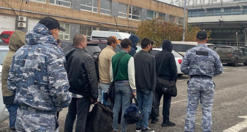333 мигранта выдворили из Воронежской области