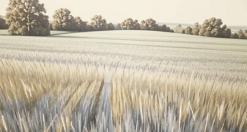 Воронежская область заняла пятое место по развитию экспортного потенциала АПК