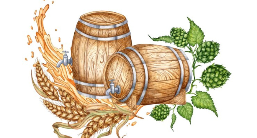 «Балтика» будет выращивать хмель в Воронежской области