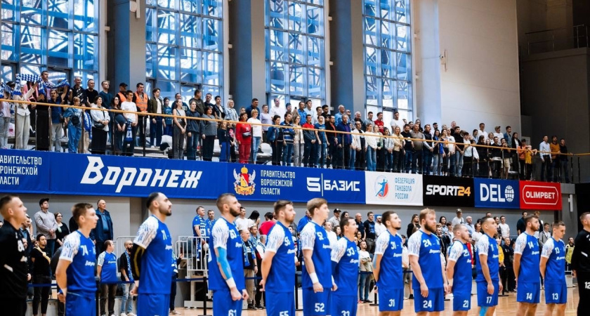 В региональном минспорта прокомментировали ситуацию с отсутствием финансирования гандбольного клуба «Воронеж»