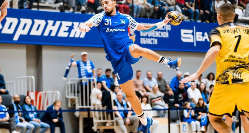 Следственный комитет пообещал провести проверку по поводу информации об отсутствии выплат игрокам и тренерам гандбольного клуб «Воронеж»