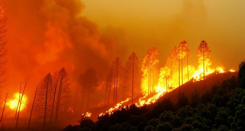 3 человека погибли из-за сжигания сухой травы в Воронежской области