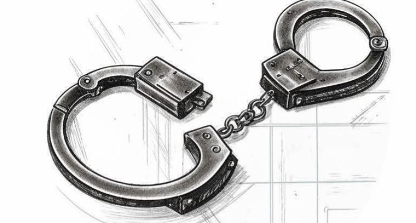 Уголовное дело по статье о госизмене возбудили против воронежца