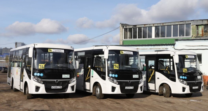 На маршруте №74 в Воронеже начнут работать новые автобусы