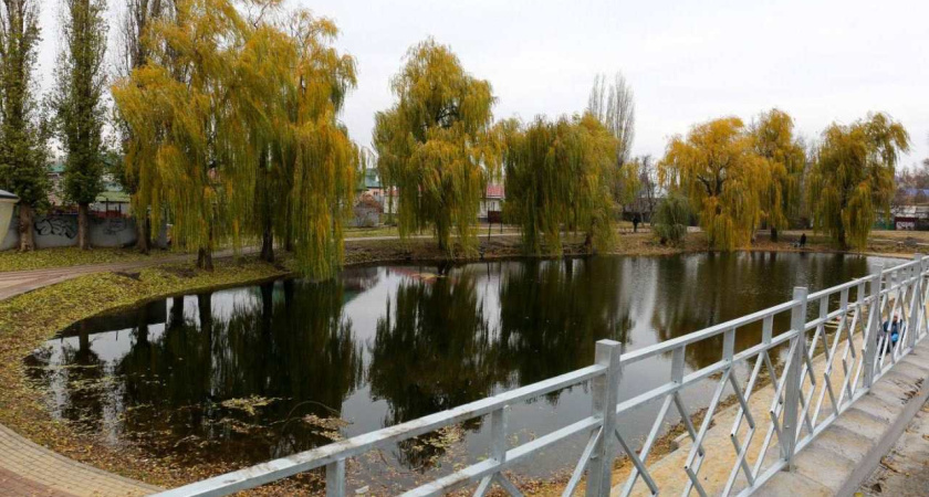 В воронежском сквере завершилось благоустройство