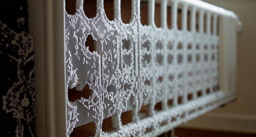 Уголовное дело возбудили после новостей о замерзающей в Воронеже узнице концлагеря