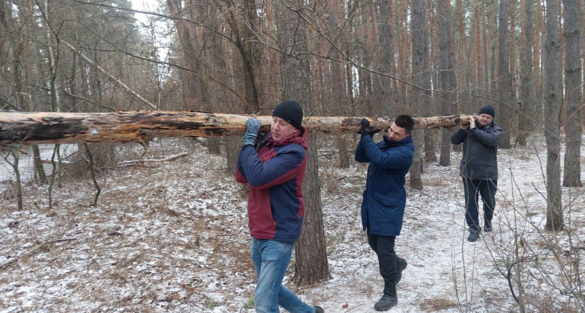 Сотрудники воронежского Минприроды и Дирекции ООПТ присоединились к волонтерскому субботнику в Северном лесу